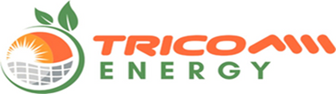 TRICOM ENERGY